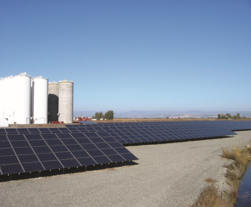 Lunberg Farms in California